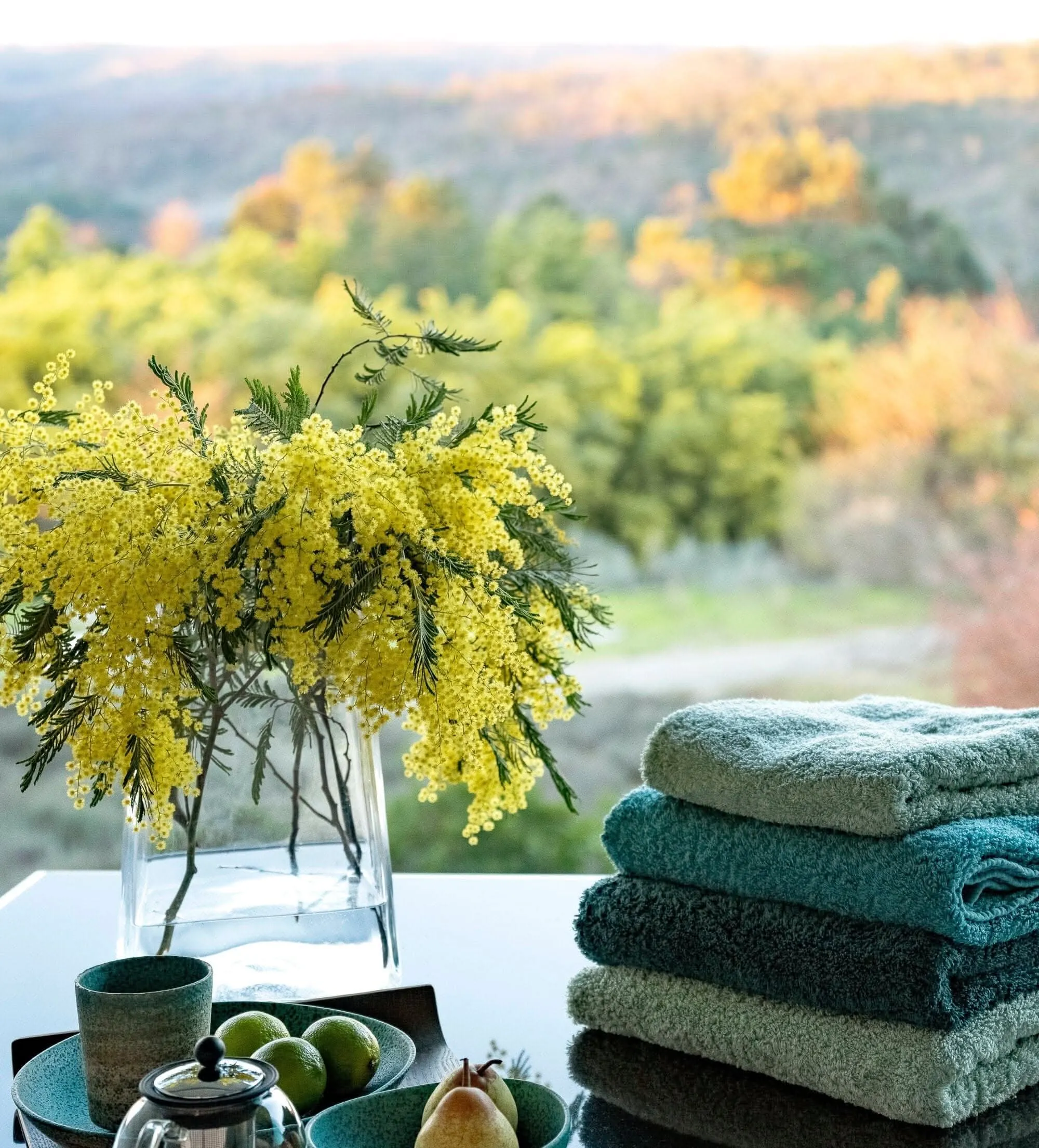 Super Pile Hair Towels (21 x 39" | 55 x 100 cm)